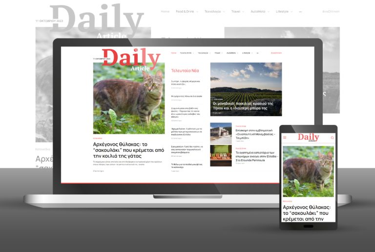 Κατασκευή Portal για το Daily Article